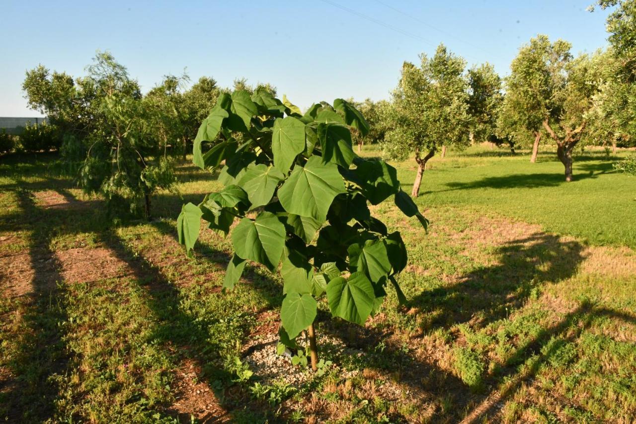 Tenuta Corano Nardò Kültér fotó